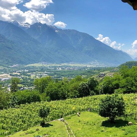 Agriturismo Cavria Castione Andevenno Luaran gambar