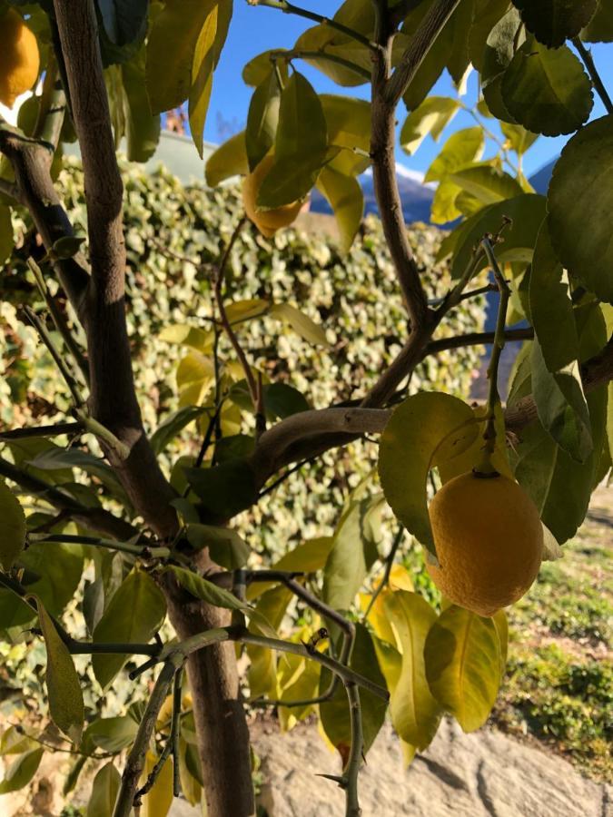 Agriturismo Cavria Castione Andevenno Luaran gambar