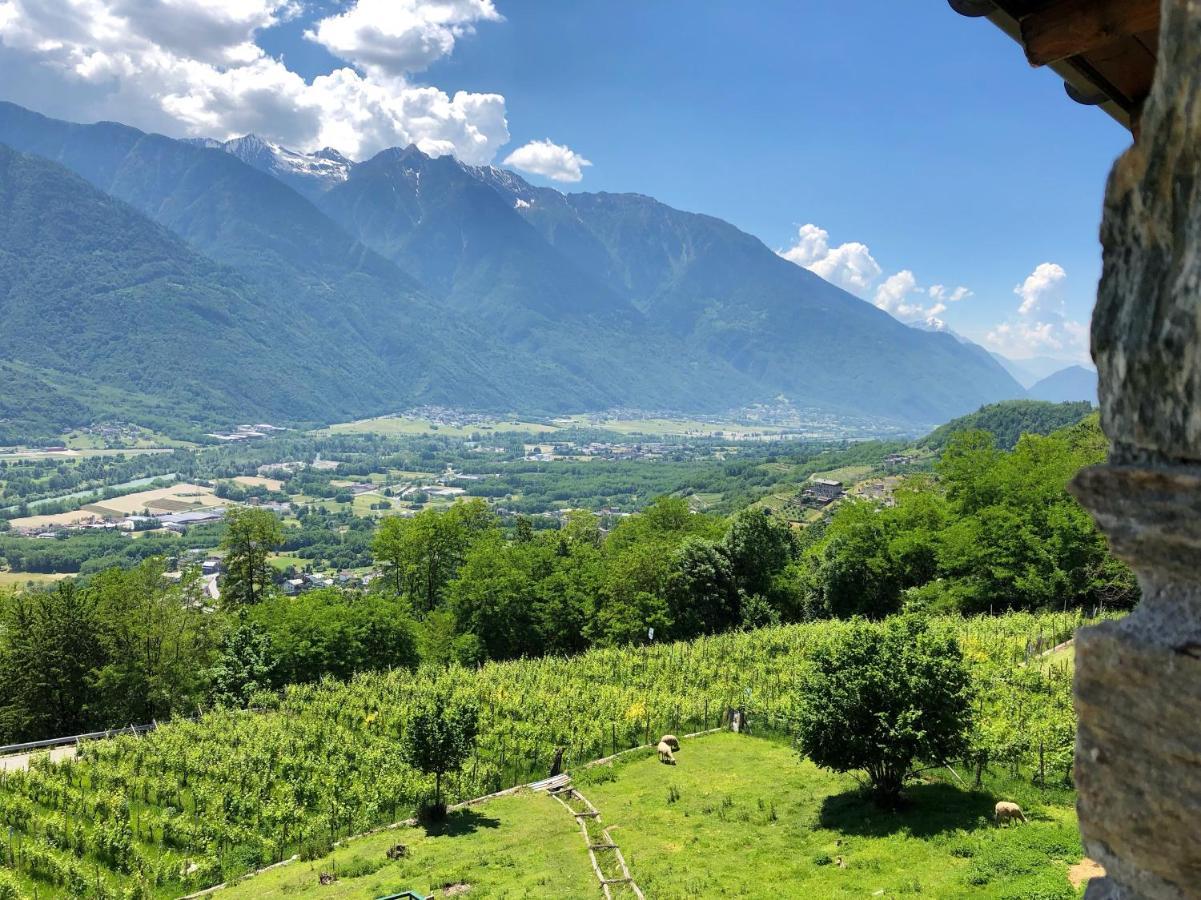 Agriturismo Cavria Castione Andevenno Luaran gambar